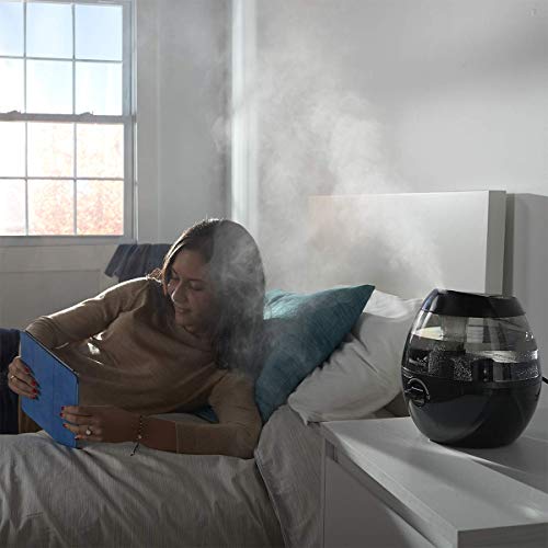 Honeywell HUL520BC MistMate™ Ultrasonic Cool Mist Humidifier, Black, with Adjustable Mist Control, Auto Shut-off, Ultra Quiet Operation, Visible Cool Mist