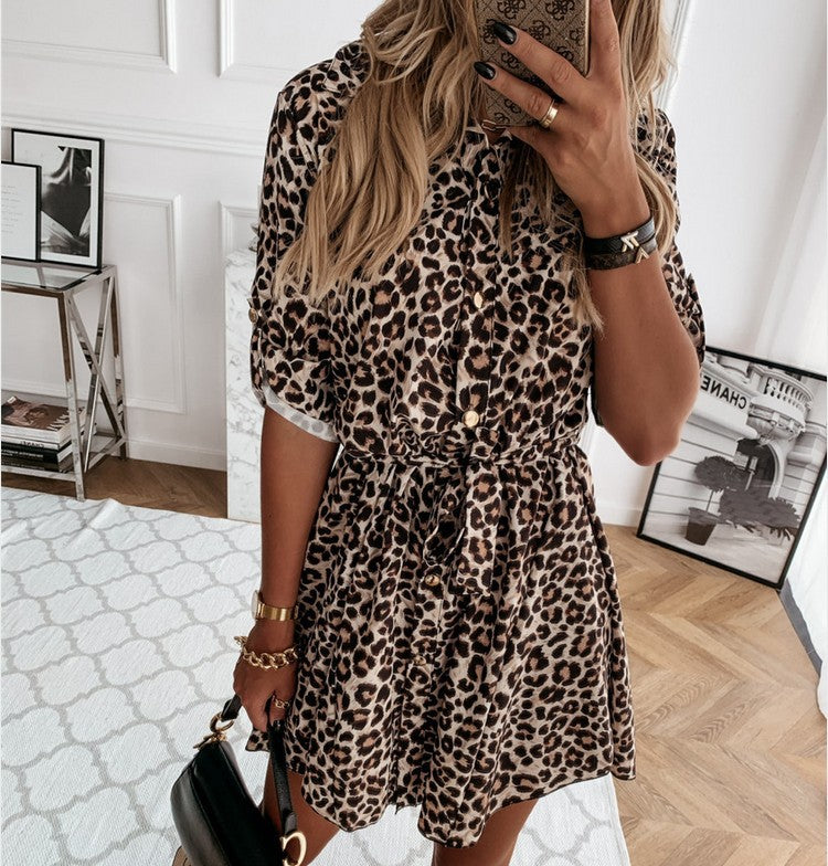 EBay Express Amazon Europe And The United States