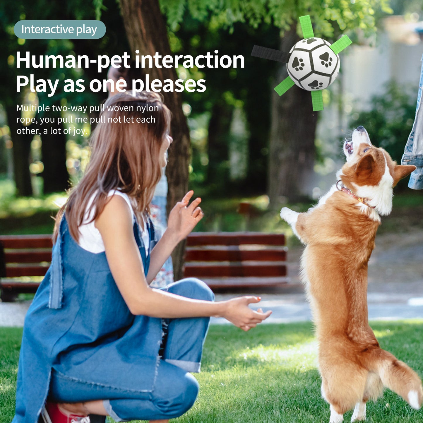 Interactive Dog Football Toy Soccer Ball