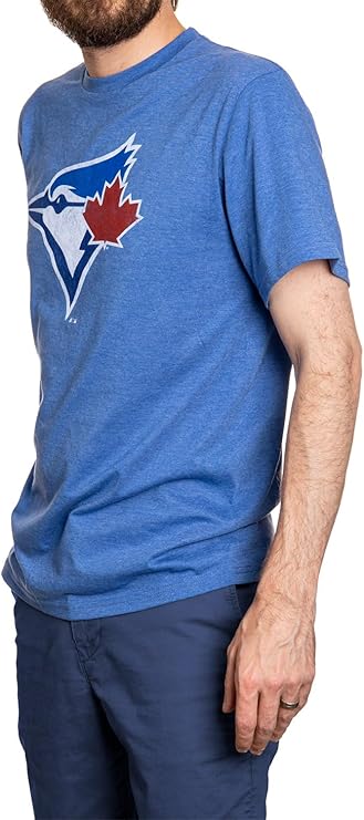 Men's Toronto Blue Jays Birdhead Logo T-Shirt – Heather Royal