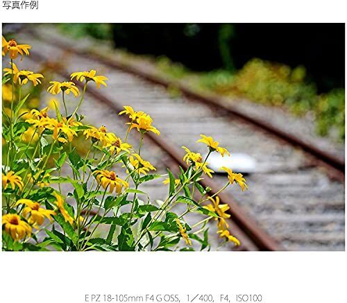 Sony E PZ 18-105mm f/4 G OSS Lens