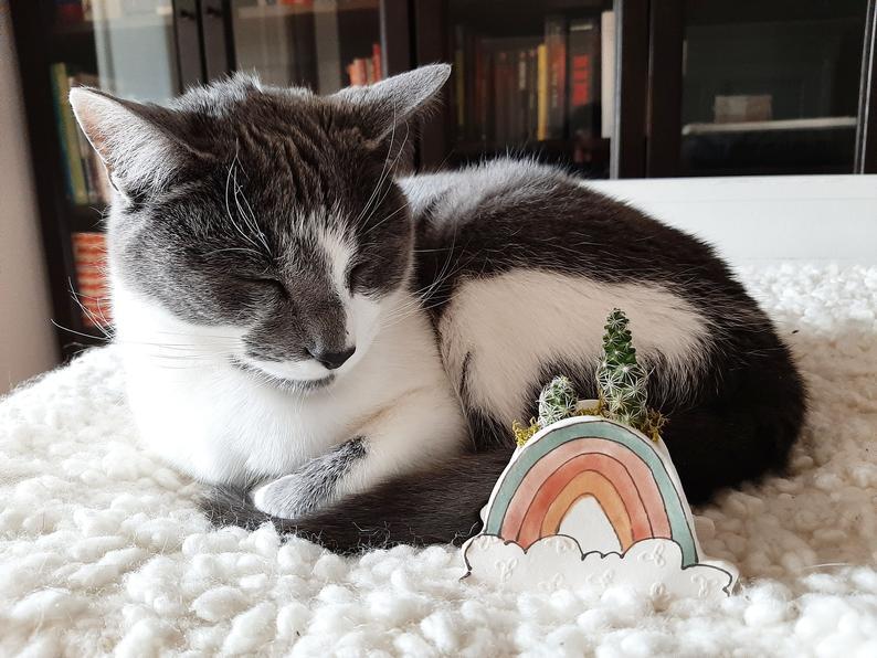 Small Rainbow planter. Happy ceramic planter