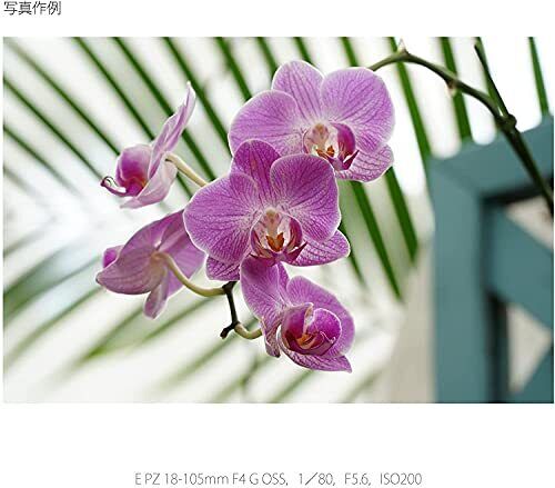 Sony E PZ 18-105mm f/4 G OSS Lens