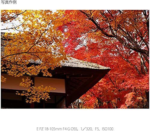 Sony E PZ 18-105mm f/4 G OSS Lens