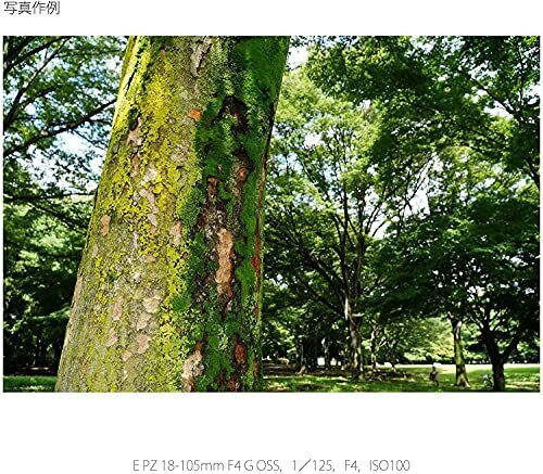 Sony E PZ 18-105mm f/4 G OSS Lens