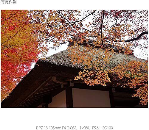 Sony E PZ 18-105mm f/4 G OSS Lens