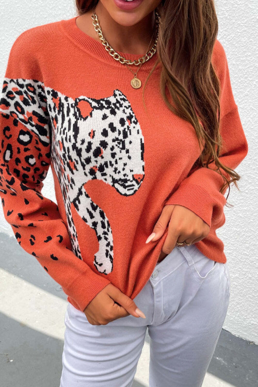 Leopard Graphic Pullover Sweater