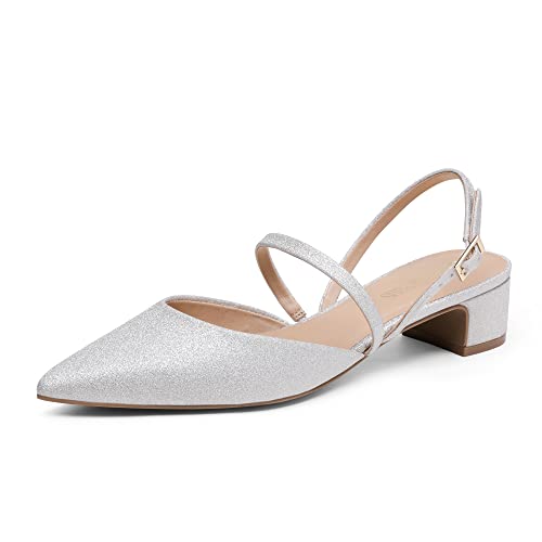 DREAM PAIRS Women's Pumps Chunky Closed Toe Low Block Heels Strappy Buckle Pointed Toe Slingback Dress Wedding Party Shoes