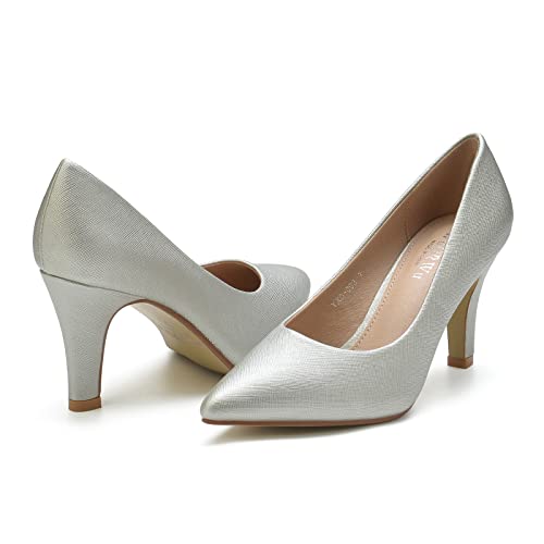 WuORWu Women's Closed Pointed Toe Classic Dress Shoes Silver Heel Pumps (Silver 8)