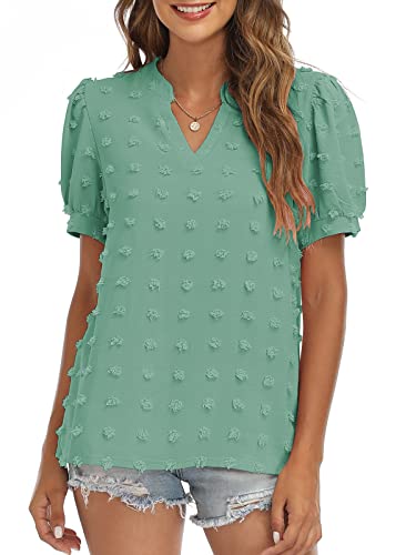 RANPHEE Womens Summer Black V Neck Puff Short Sleeve Tops Casual Business Work Blouses Cute Dressy Swiss Dot Shirts L