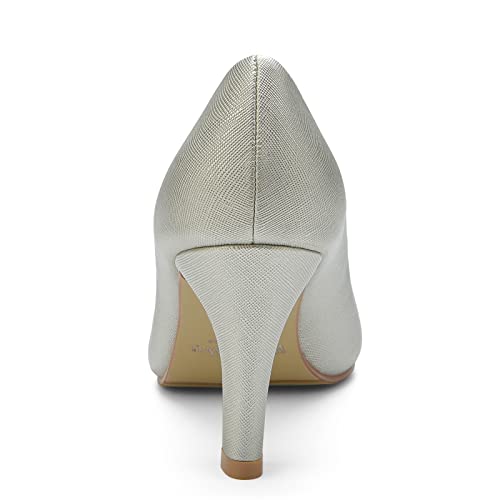 WuORWu Women's Closed Pointed Toe Classic Dress Shoes Silver Heel Pumps (Silver 8)