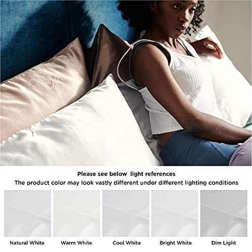 Bedsure Satin Pillow Cases 2 Pack Queen -