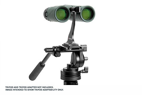 Celestron 71332 Nature DX 8x42 Binocular (Green)