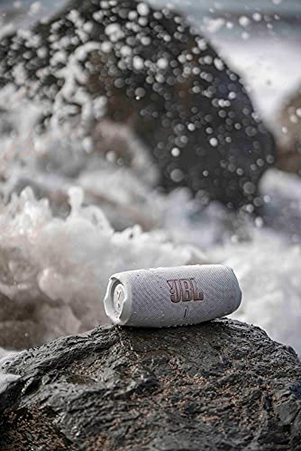 JBL Charge 5 Portable Bluetooth Speaker with Deep Bass, IP67 Waterproof and Dustproof, Up To 20 Hours of Playtime, Built-in Powerbank - Black