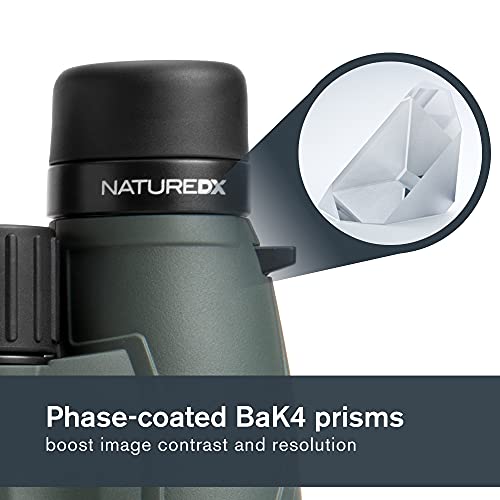 Celestron 71332 Nature DX 8x42 Binocular (Green)