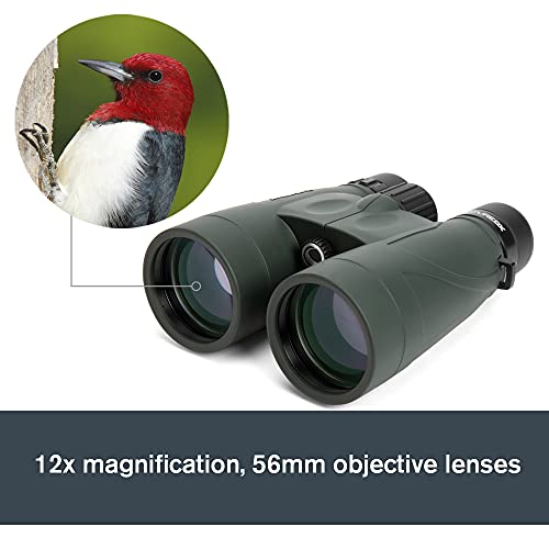 Celestron 71332 Nature DX 8x42 Binocular (Green)