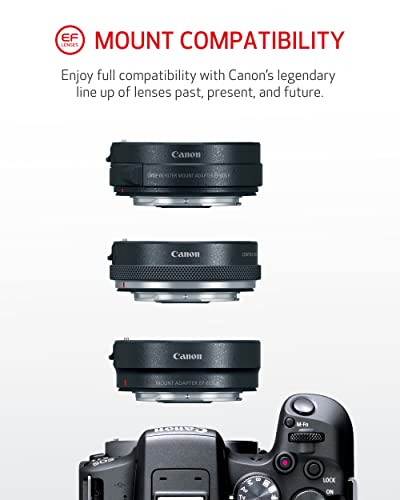 Canon EOS R10 RF-S18-45mm F4.5-6.3 is STM Lens Kit, Mirrorless Vlogging Camera, 24.2 MP, 4K Video, DIGIC X Image Processor, High-Speed Shooting, Subject Tracking, Compact, for Content Creators