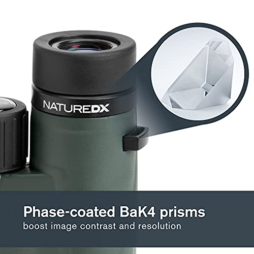 Celestron 71332 Nature DX 8x42 Binocular (Green)