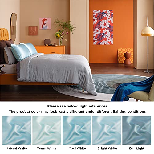 Bedsure Satin Pillow Cases 2 Pack Queen -