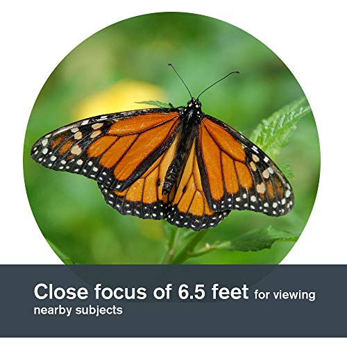 Celestron 71332 Nature DX 8x42 Binocular (Green)