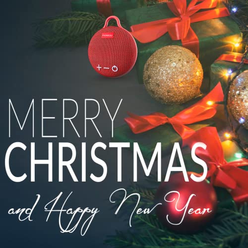 Speakers Bluetooth Wireless, Portable Speaker IPX7 Waterproof with 24H Playtime, 360° Surround Sound, Stereo Bass (Pink)