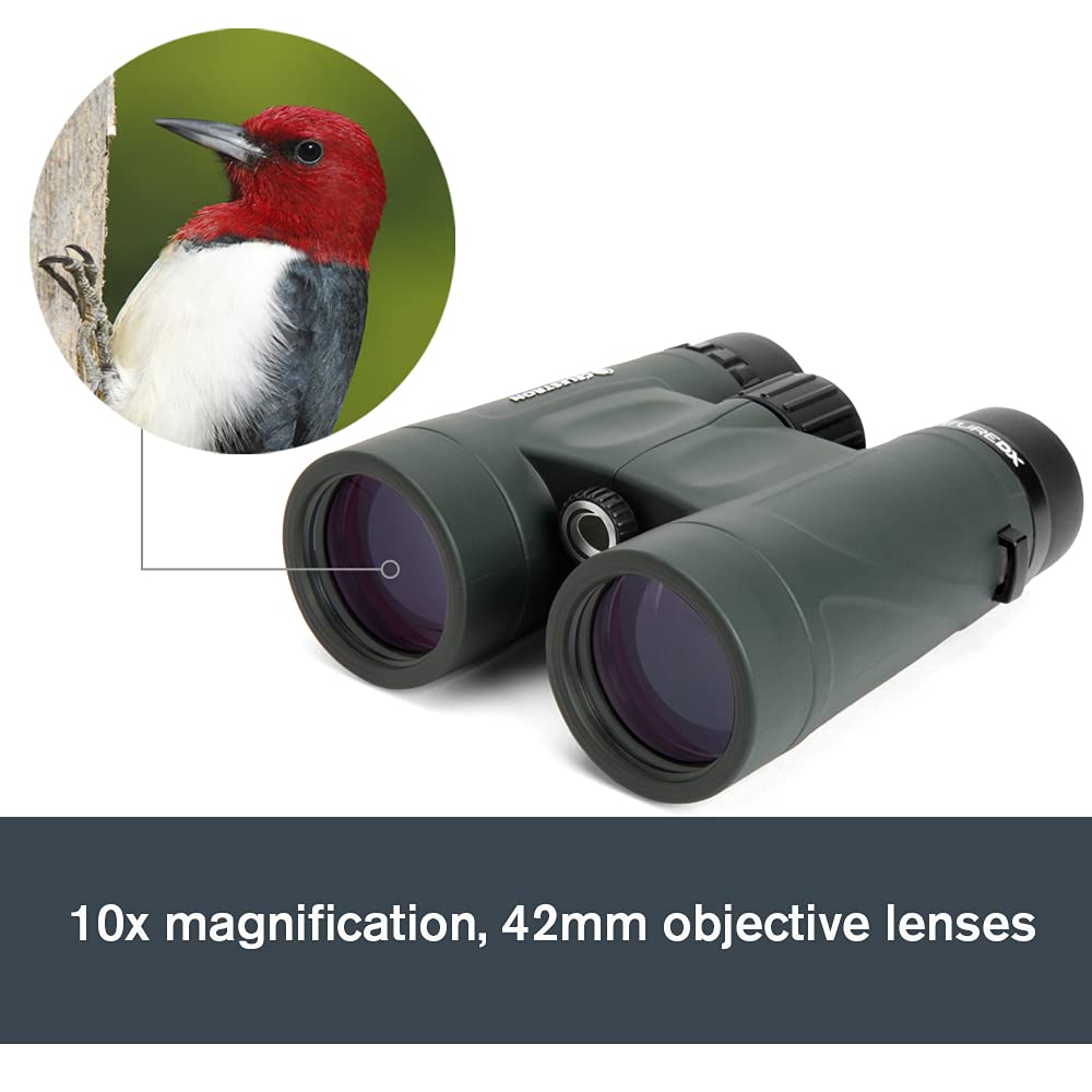 Celestron 71332 Nature DX 8x42 Binocular (Green)
