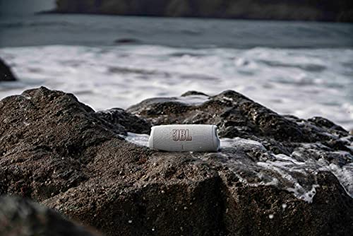 JBL Charge 5 Portable Bluetooth Speaker with Deep Bass, IP67 Waterproof and Dustproof, Up To 20 Hours of Playtime, Built-in Powerbank - Black