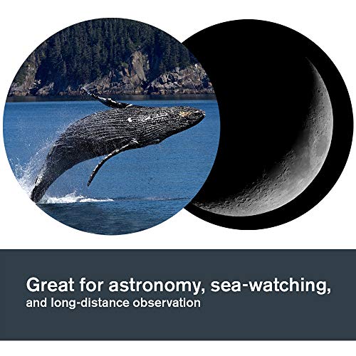 Celestron SkyMaster 20x80 Binoculars