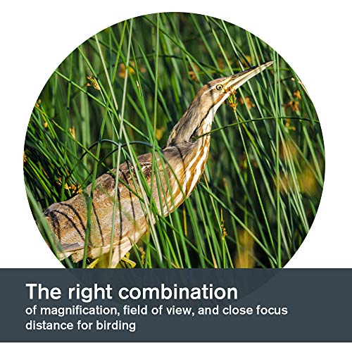 Celestron 71332 Nature DX 8x42 Binocular (Green)