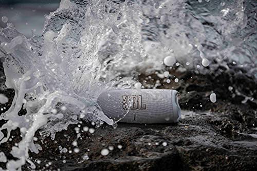 JBL Charge 5 Portable Bluetooth Speaker with Deep Bass, IP67 Waterproof and Dustproof, Up To 20 Hours of Playtime, Built-in Powerbank - Black